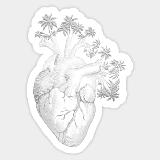 Silver Color Anatomically Correct Human Heart - Palm Trees Sticker